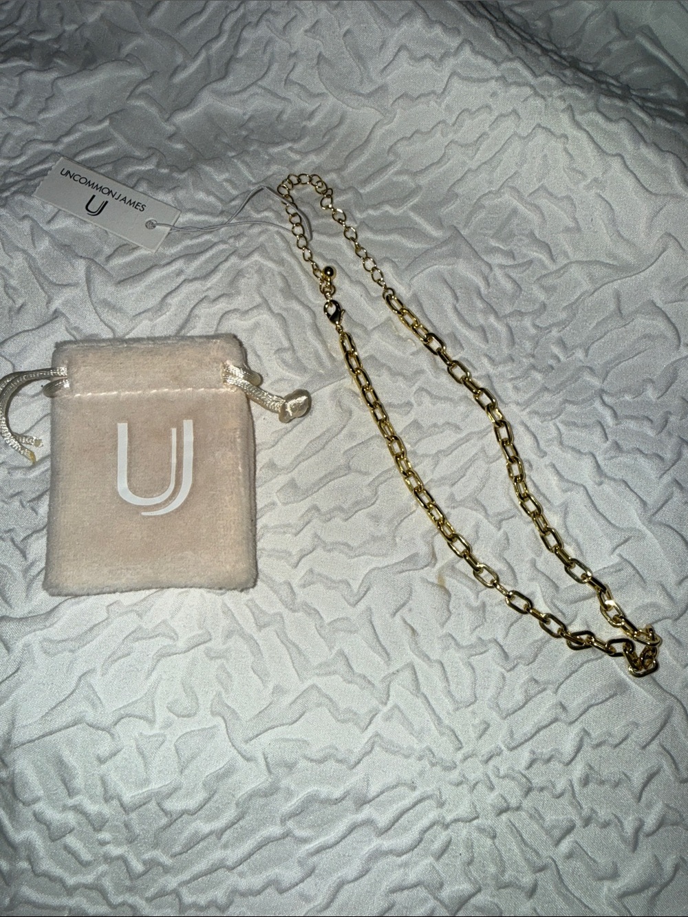 Uncommon James Gold Chain Mini Crossbody Strap with Branded Velvet Pouch